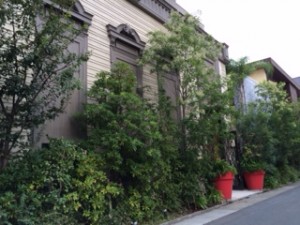 2014.9.27ブルーレマン